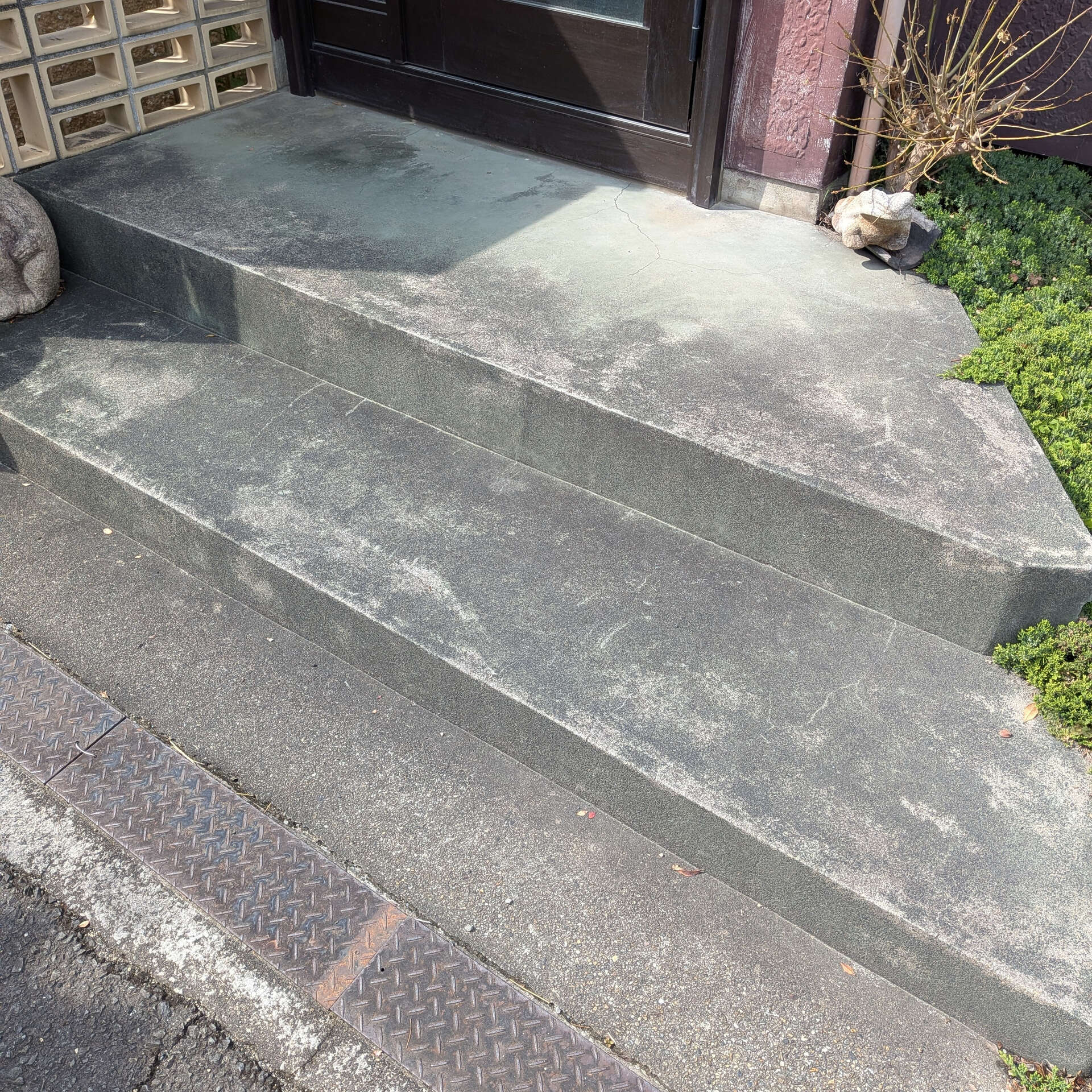 玄関ステップに新しい命を